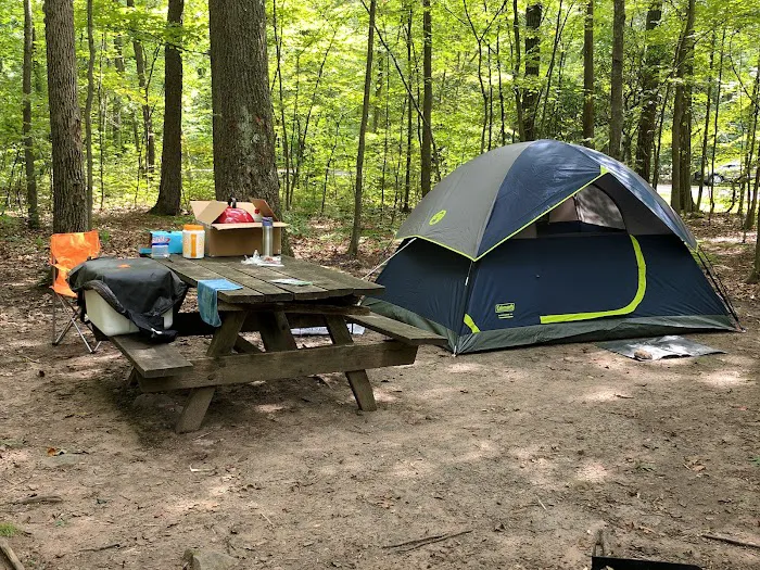 French Creek State Park Campground Loop A Picture 1