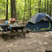 French Creek State Park Campground Loop A ico