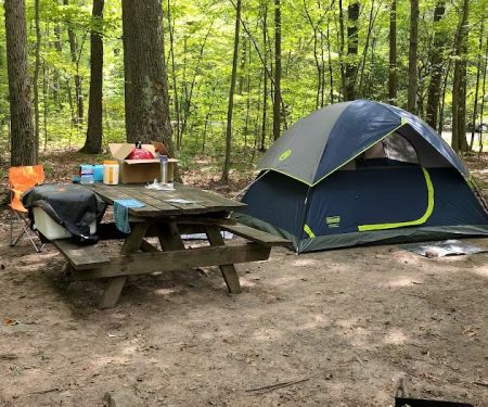 French Creek State Park Campground Loop A