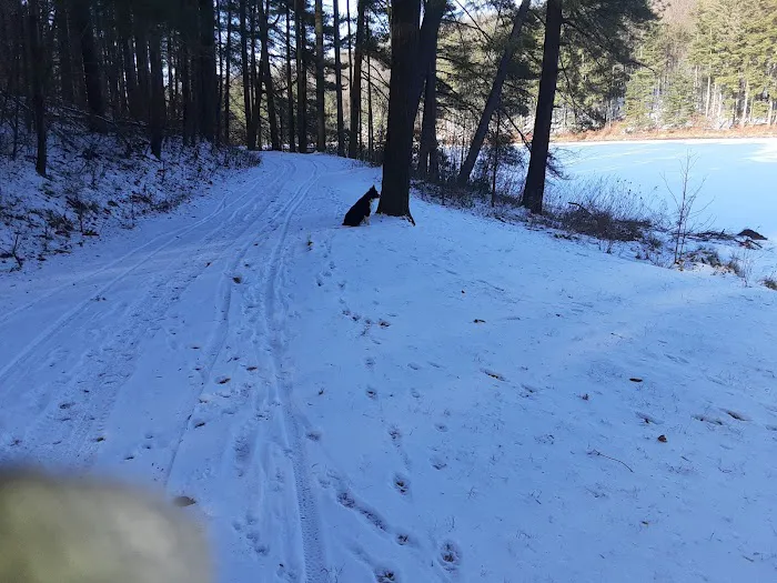 French Creek State Park Group Campground Picture 1