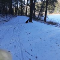 French Creek State Park Group Campground ico