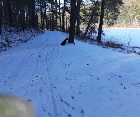 French Creek State Park Group Campground