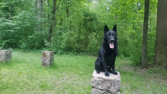 French Creek State Park Group Campground Picture 8