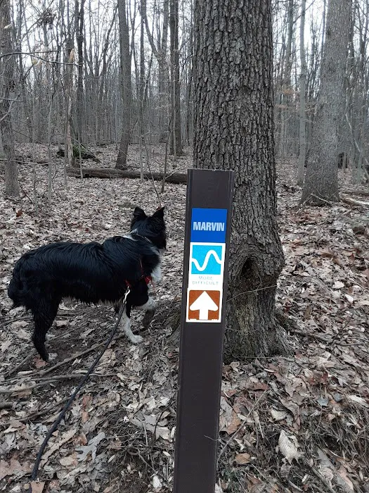 French Creek State Park Group Campground Picture 2