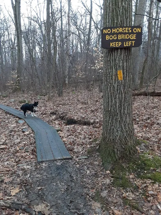 French Creek State Park Group Campground Picture 5