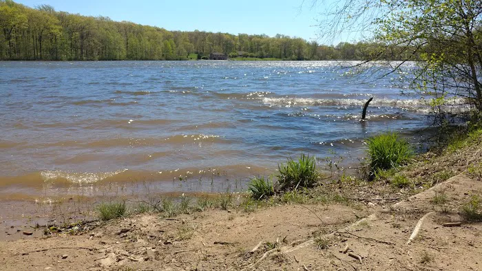 French Creek Group Campground Picture 3