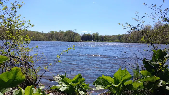 French Creek Group Campground Picture 2