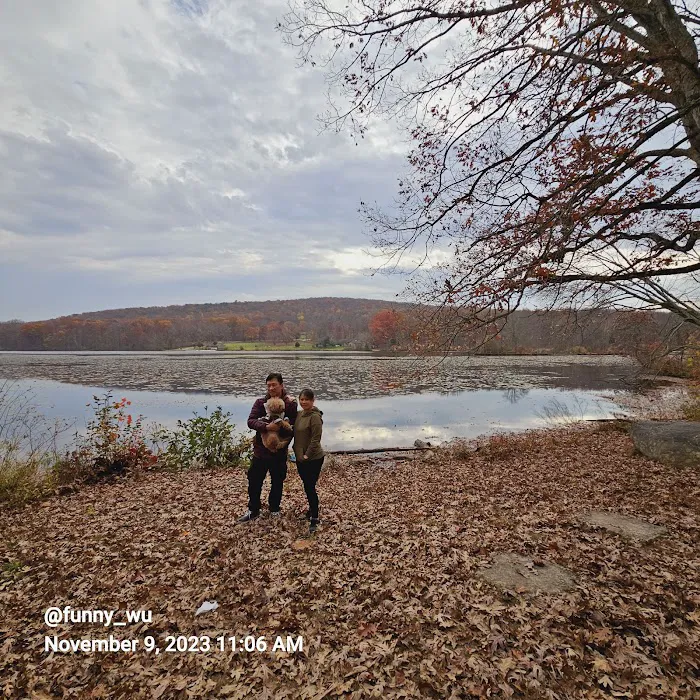 French Creek Cabins Picture 4