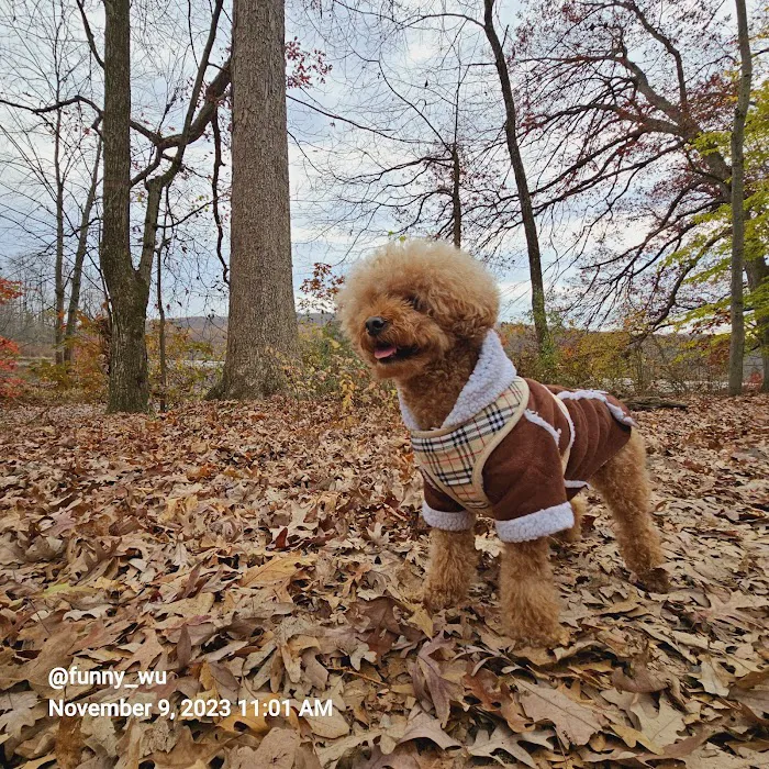 French Creek Cabins Picture 8