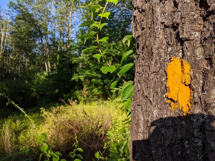 French Creek Cabins Picture 6