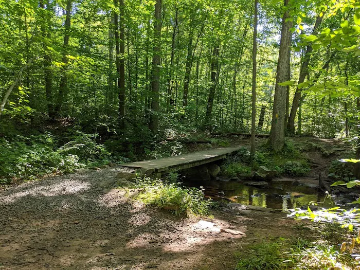 French Creek Cabins Picture 7