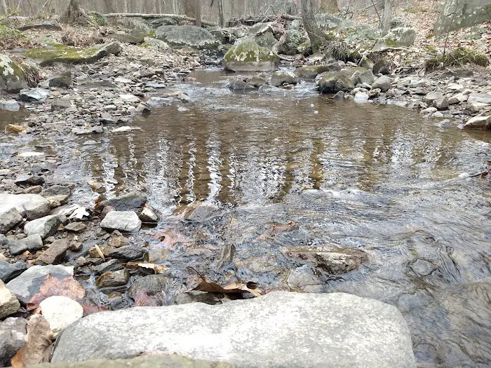 French Creek Cabins Picture 9