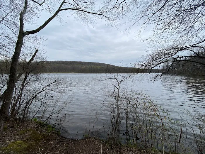 French Creek Cabins Picture 5