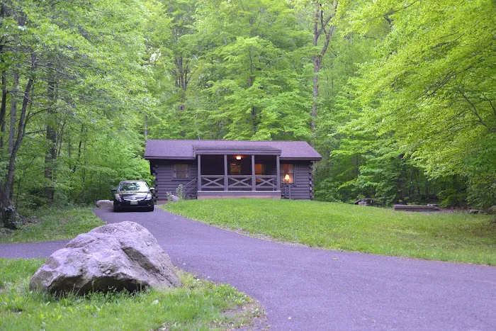 French Creek Cabin Picture 10