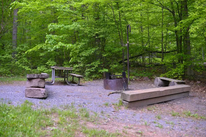 French Creek Cabin Picture 8