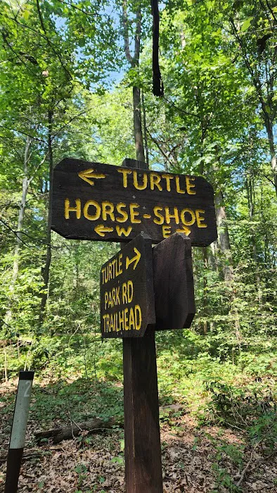 French Creek Cabin Picture 3