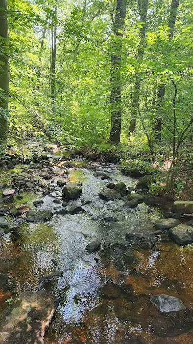 French Creek Cabin Picture 2
