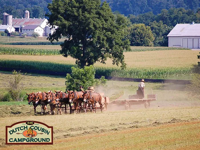 Dutch Cousin Campground Picture 9