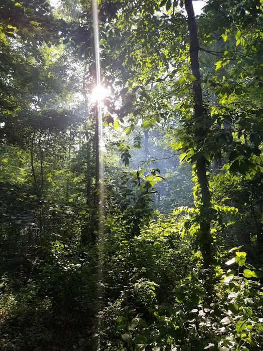 Shady Oaks Family Campground Picture 1