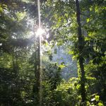 Shady Oaks Family Campground