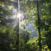 Shady Oaks Family Campground ico