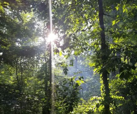Shady Oaks Family Campground