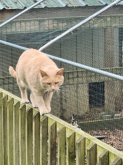 Shady Oaks Family Campground Picture 4