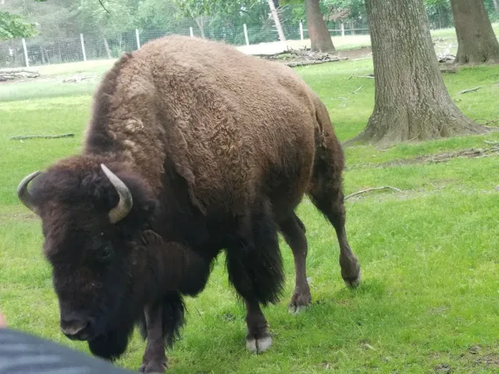 Shady Oaks Family Campground Picture 10