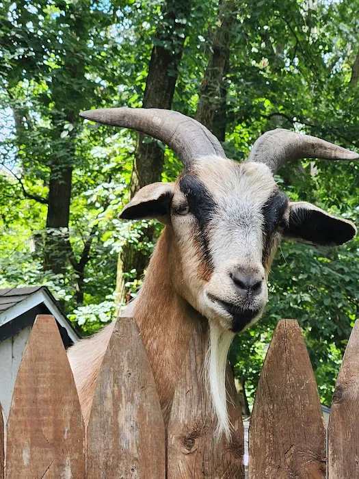 Shady Oaks Family Campground Picture 3