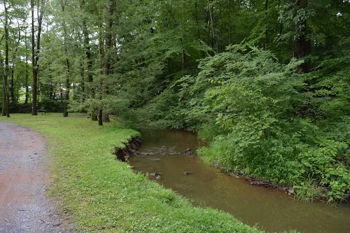 Hickory Run Campground Picture 5