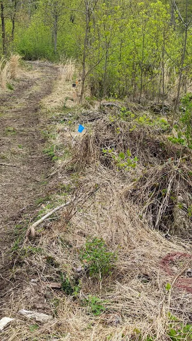 Camp Furnace Hills Picture 1