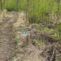 Camp Furnace Hills ico