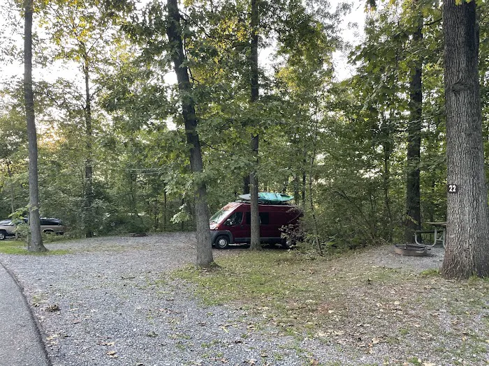 Starlite Camping Resort Picture 6