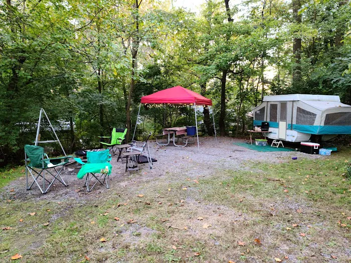 Starlite Camping Resort Picture 7