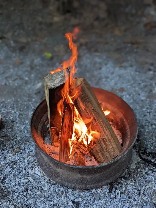 Starlite Camping Resort Picture 8