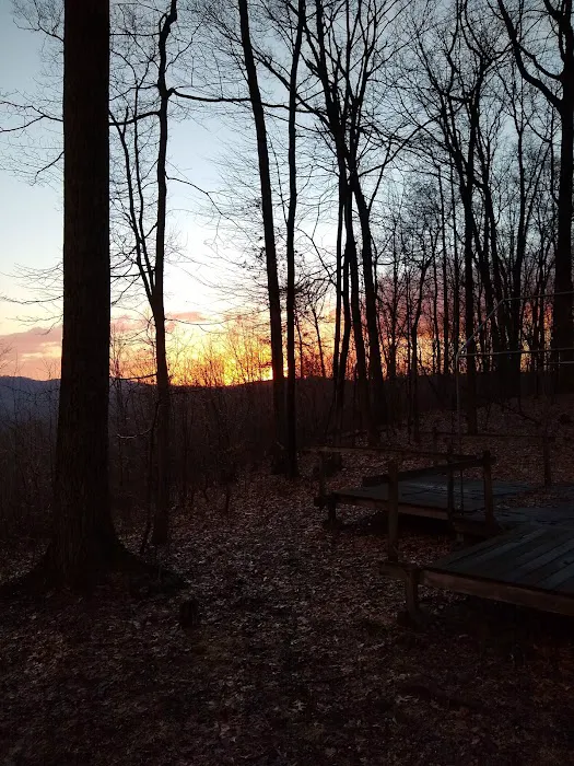 Dellinger Lodge Picture 3