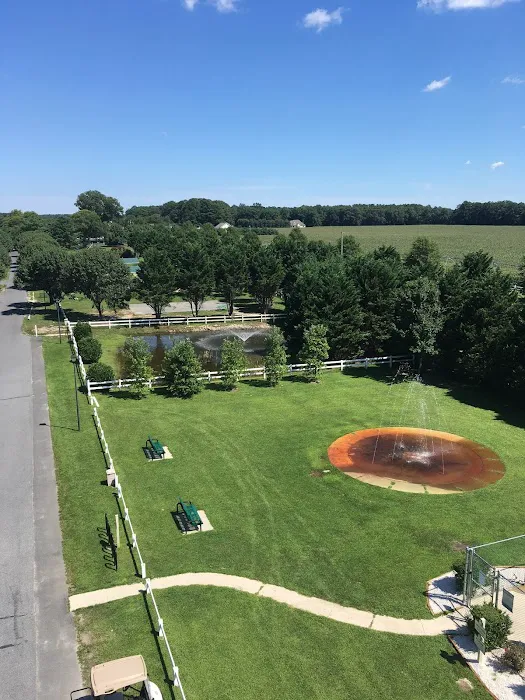 Homestead Campground Picture 10