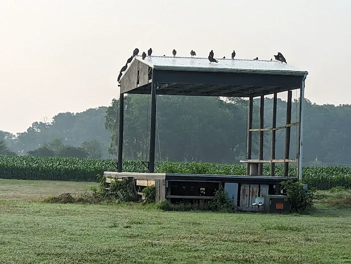 Deep Branch Family Campground Picture 1