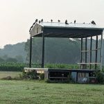 Deep Branch Family Campground