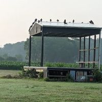 Deep Branch Family Campground ico