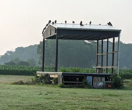 Deep Branch Family Campground