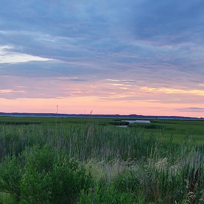 Delaware Seashore State Park South Campground Picture 6