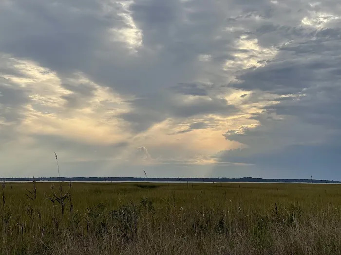 Delaware Seashore State Park South Campground Picture 9