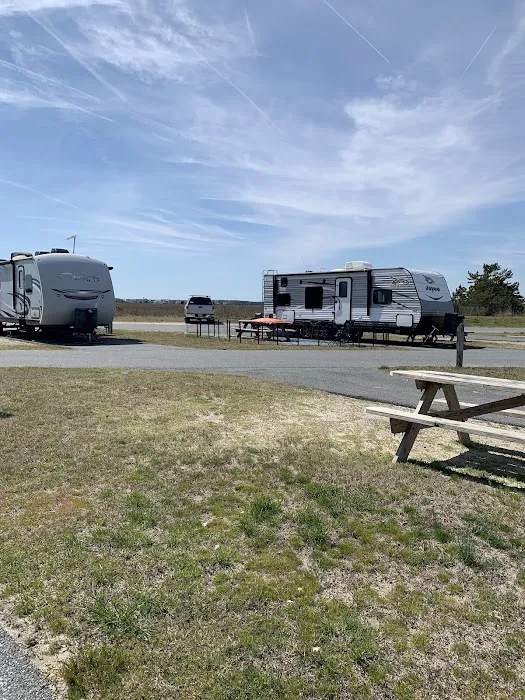 Delaware Seashore State Park South Campground Picture 2