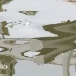 Pine Tree Campground