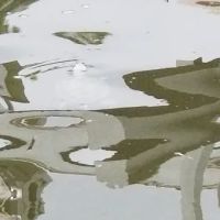 Pine Tree Campground ico