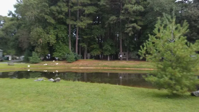 Brumbley's Family Park Campground Picture 1