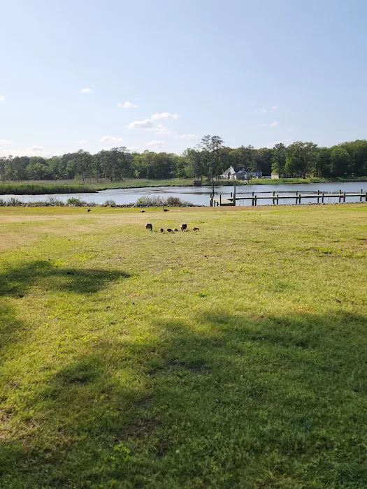 Gulls Way Campground Picture 5