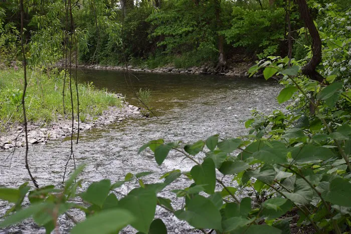 Peyper Fields Creekside Camp Picture 10