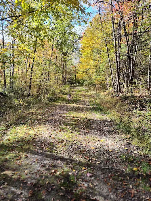 Aspen Campground Picture 8